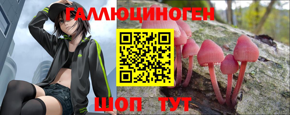 Котовск  Псилоцибиновые грибы ЛСД  Вход с VPN 