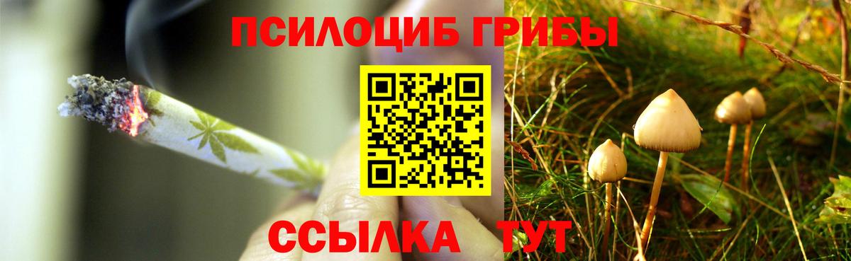 Псилоцибиновые грибы мухоморы Котовск
